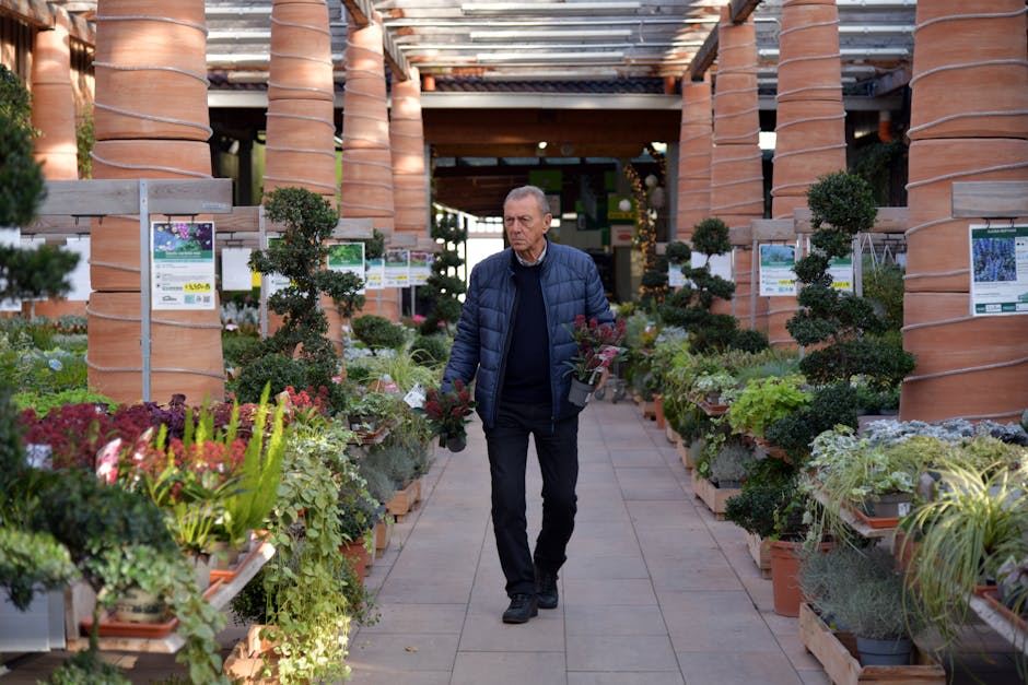 A middle-aged man with short, gray hair, dressed in a navy blue quilted jacket and black trousers, is walking through an outdoor plant nursery at Walnuts Shopping Centre. He is holding two potted flow